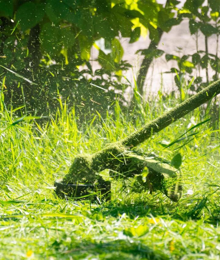 Entretien de jardins Moulins